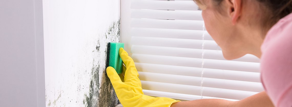 Vorbeugung und Beseitigung von Schimmelpilzbefall in Wohnr&auml;umen