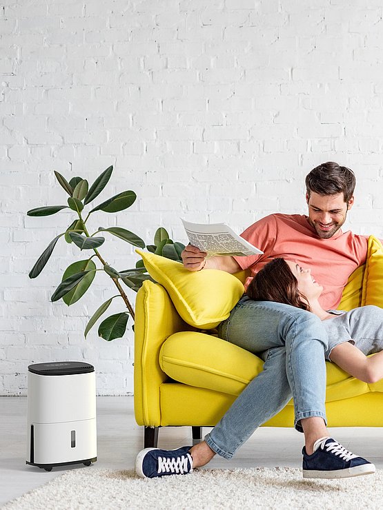 Meaco Arete One 10L, 12L im Wohnzimmer